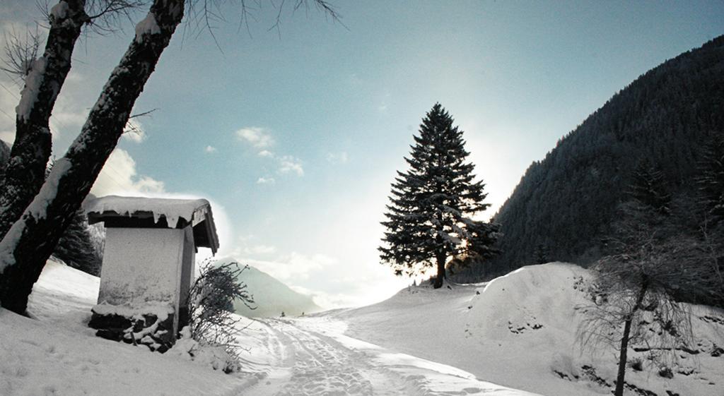 Apartments Haus Schoen - Preise Inclusive Pitztal Sommer Card Jerzens Exterior photo